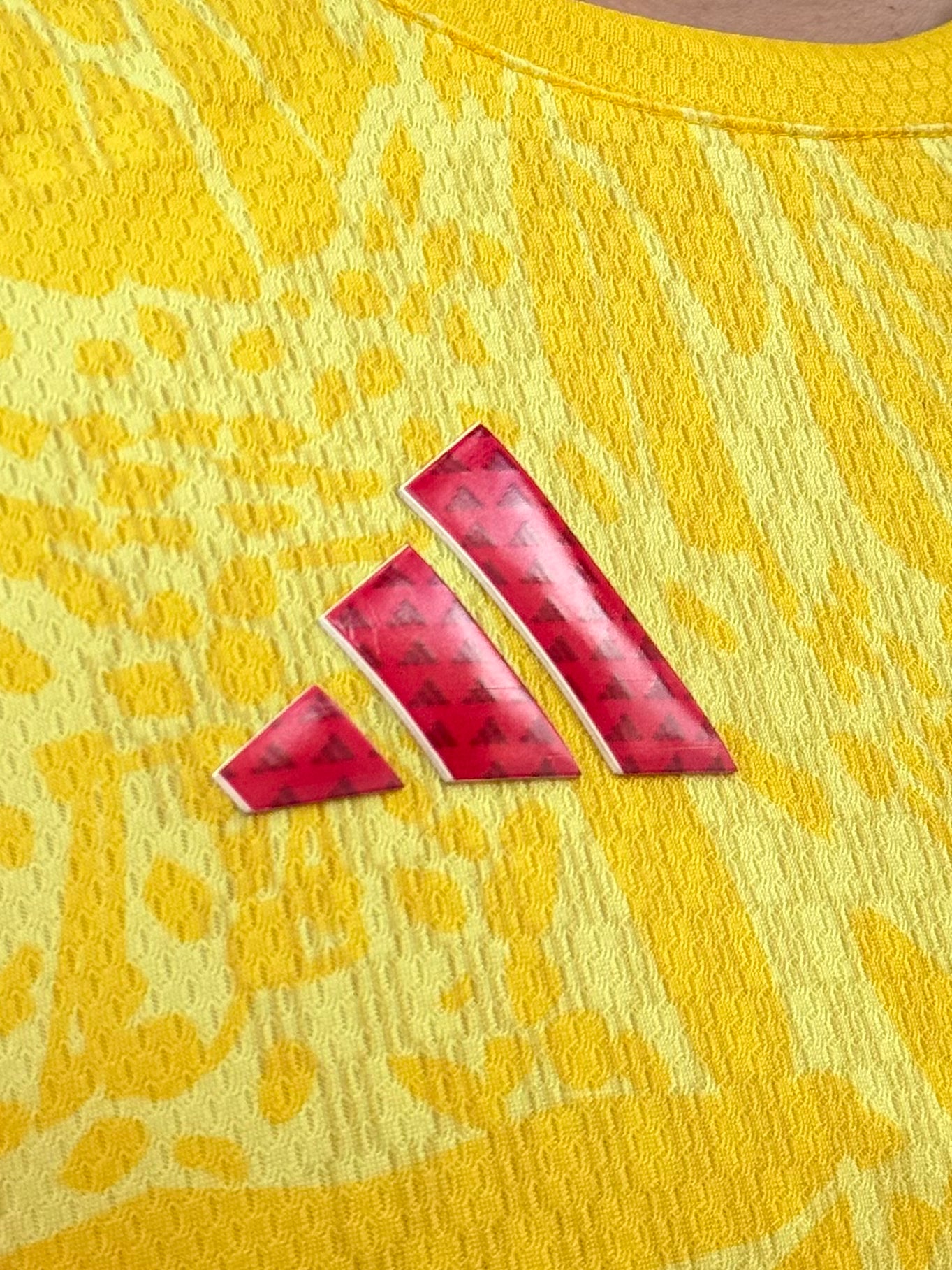 Musculosa + Pantaloneta GRATIS